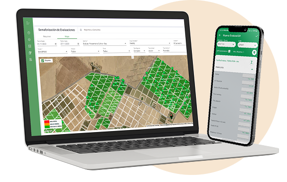 Agrobrain